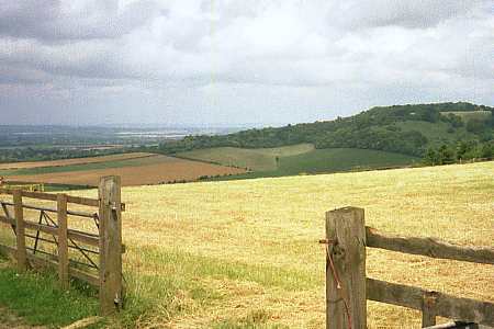 From the Pink Road, towards Kop Hill