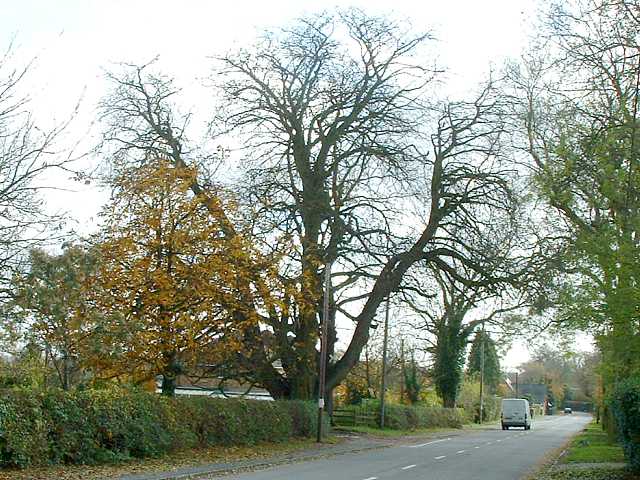 Main Road. Lacey Green